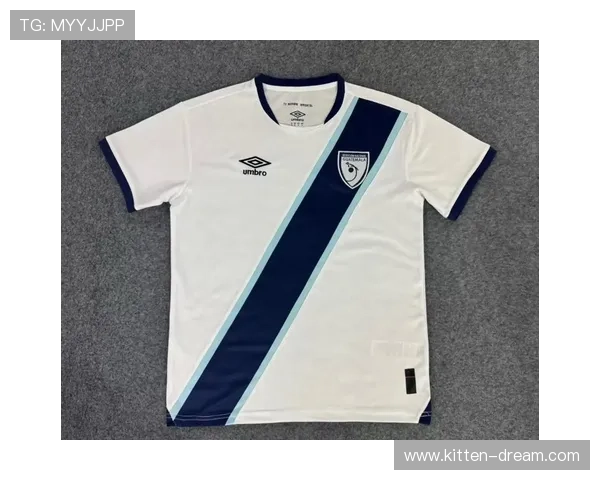 15号球衣的足球明星们盘点及其辉煌成就解析