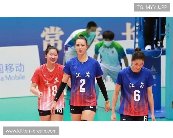 南京排球队防守反击的优劣分析与未来发展方向探讨