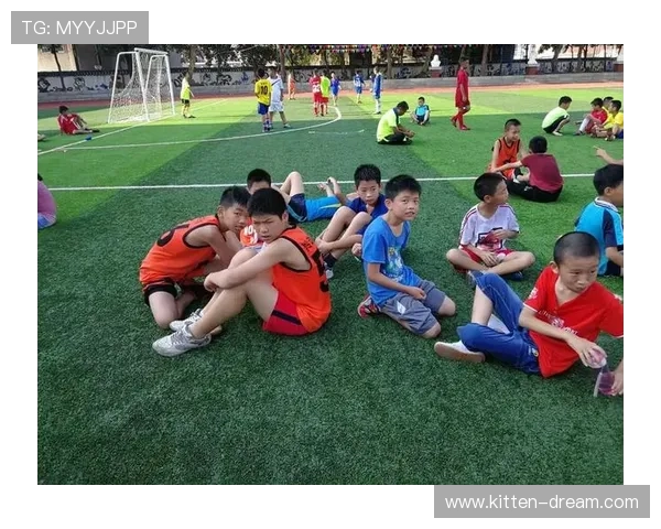 刘敏专访:从绿茵场到人生舞台的足球旅程回顾与展望