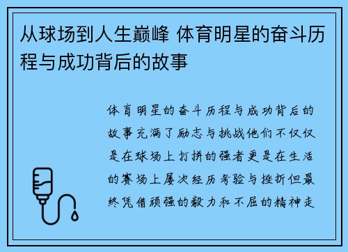 从球场到人生巅峰 体育明星的奋斗历程与成功背后的故事