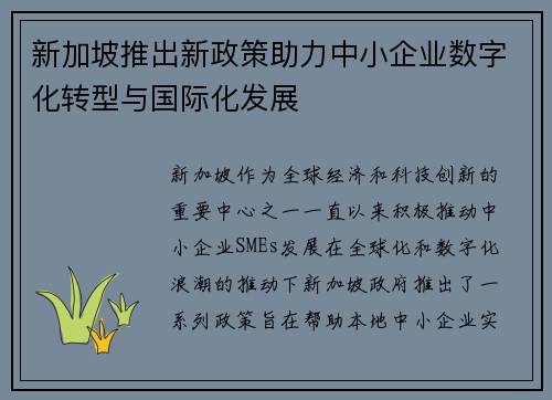 新加坡推出新政策助力中小企业数字化转型与国际化发展