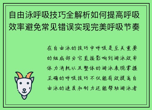 自由泳呼吸技巧全解析如何提高呼吸效率避免常见错误实现完美呼吸节奏